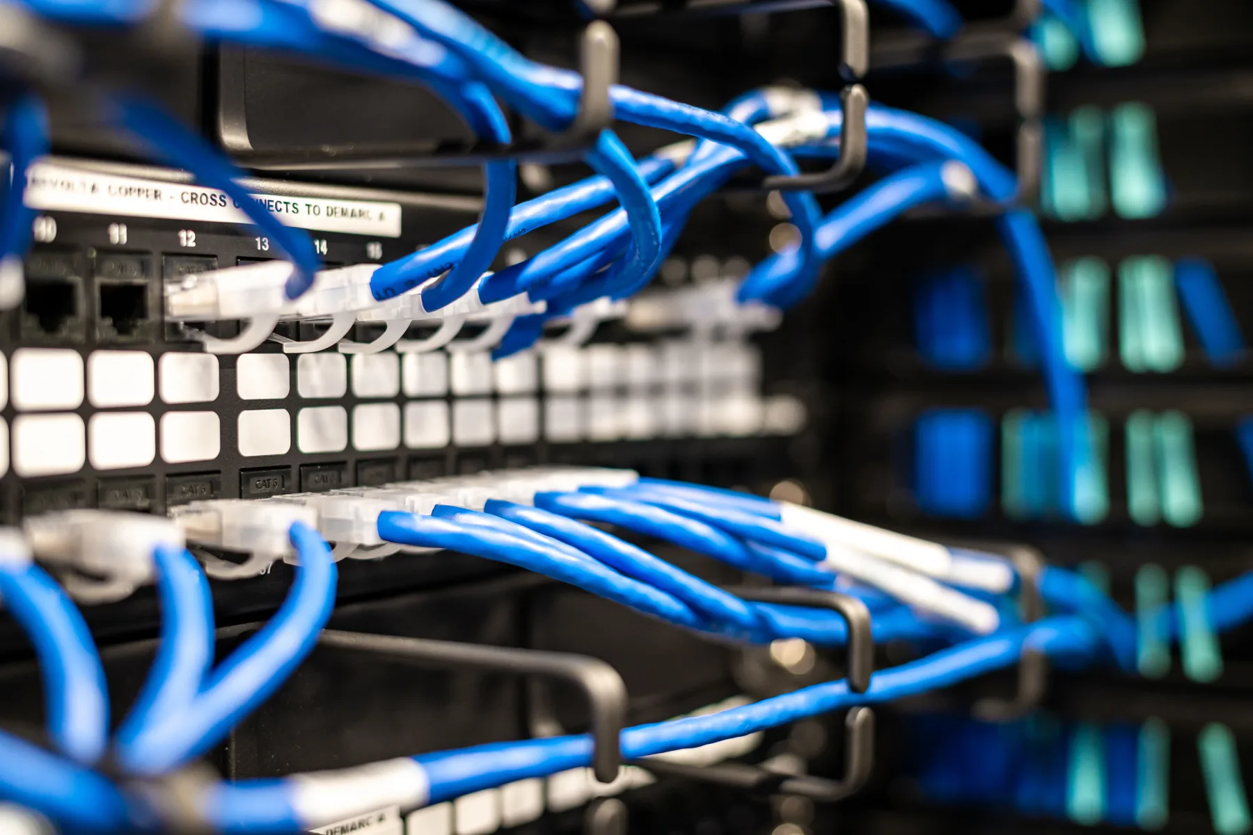 Blue network cables connected to enterprise switching equipment.
